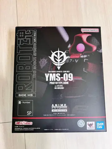 ROBOT혼 프로토타입 돔