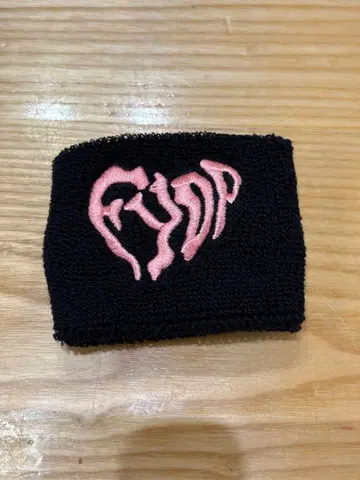 B'z LIVE-GYM 2025 FYOP 리스트 밴드 11/30