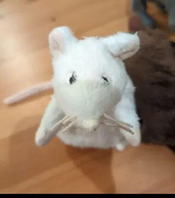 와사비리 님 쥐 봉제 인형 세트