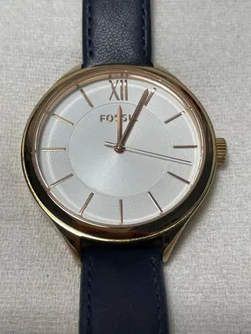 FOSSIL BQ3300 아날로그