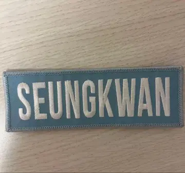 SEVENTEEN 세부치 승관 와펜 Ode to you