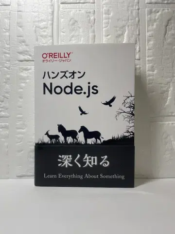핸즈온 Node.js O'Reilly
