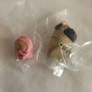 코비토즈칸 앉은 마스코트 시크릿