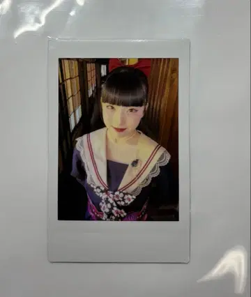 팬텀 시타 린카 폴라로이드