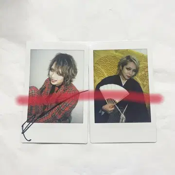 JILUKA 폴라로이드 Ricko 크리스마스