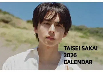 사카이 타이세이 2026 탁상 달력 1개