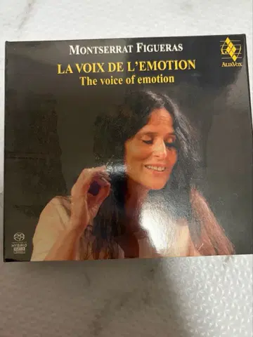 감동의 목소리 ~ 피게라스 추모반