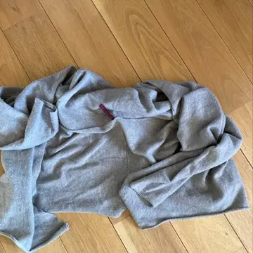 daniela gregis 다니엘라 그레지스