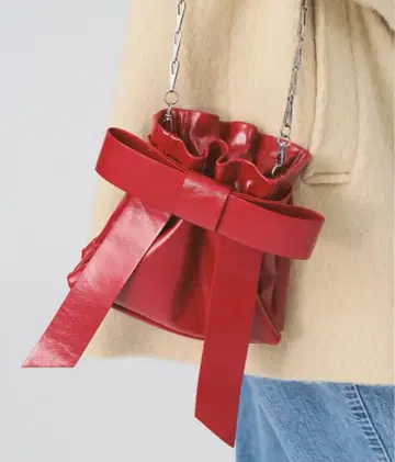 Ray BEAMS 리본 체인백