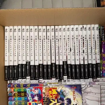 문호 스트레이독스 1~23권 세트