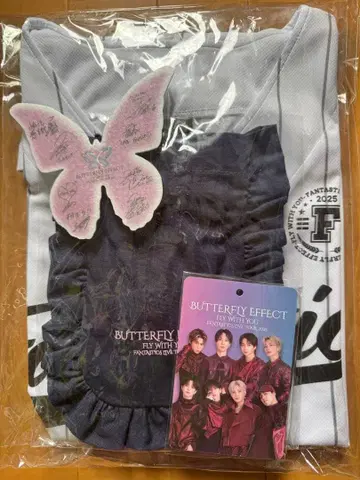 FANTASTICS 업그레이드 굿즈 낙하물 나비