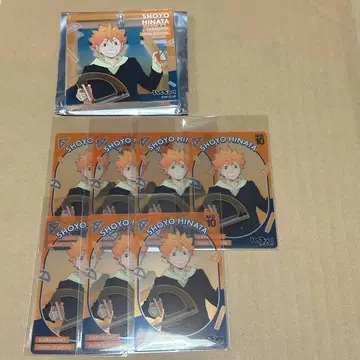 하이큐 쇼와노트 히나타