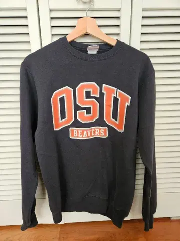 챔피온 칼리지 맨투맨