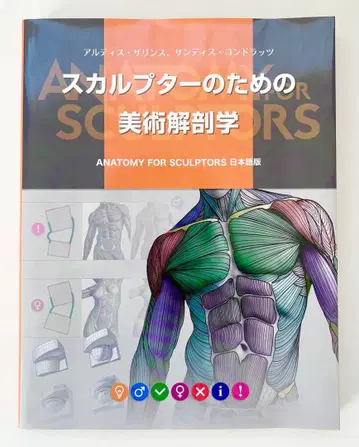 스컬프터를 위한 미술 해부학