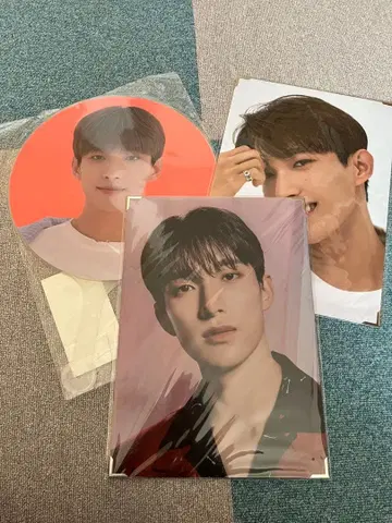 SEVENTEEN power of love DK 부채 프리미엄 사진