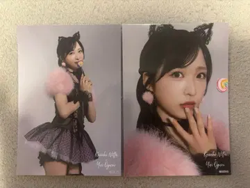 오구리 유이 브로마이드 2장 세트 샴 고양이