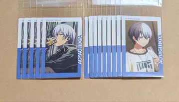 프로세카 아오야기 토야 15A 에피카 비비버스