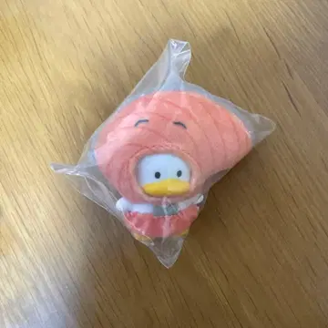 오리 페클 치비토모 오카즈