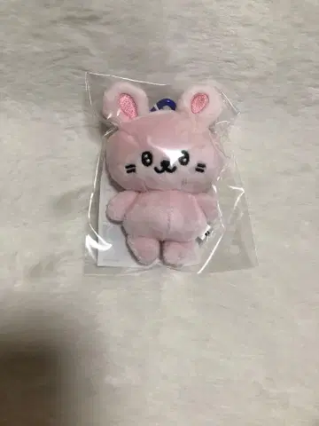 슈퍼쇼 10 SUPER JUNIOR 봉제 인형 키링 은혁