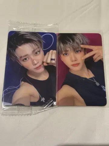 NCT DREAM Beat it up 대면 사인회 포토카드 세트 재민