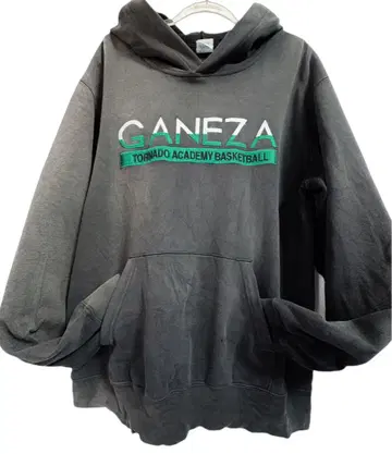 GANEZA TORNADO ACADEMY 페이드감 육성할 가치 있음