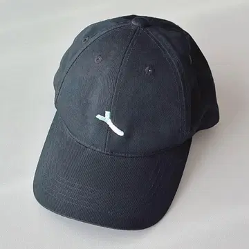 하츠네 미쿠 파 파 자수 캡