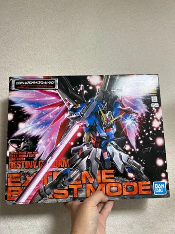 MG 1/100 데스티니 건담 익스트림 블라스트 모드