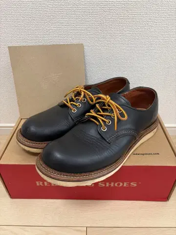 Red Wing 레드윙 8002 단종 박스 포함