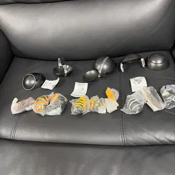 생물대도감 말벌 3종 세트