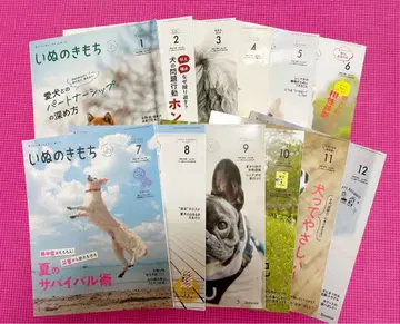 [ 새상품급 ] 베테랑 반려인의 강아지 마음 2025년 1월~12월 세트