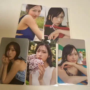 오구리 유이 트레이딩 카드 5장 세트