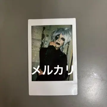 deadman 진코 폴라로이드