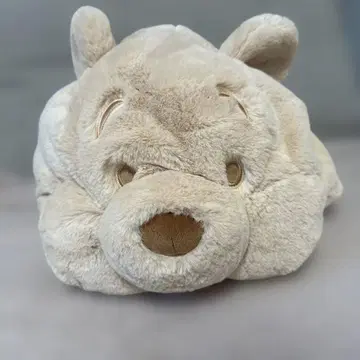 곰 얼굴 디자인의 모자