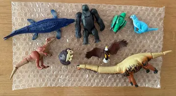 아니아 아니아킹덤 8세트