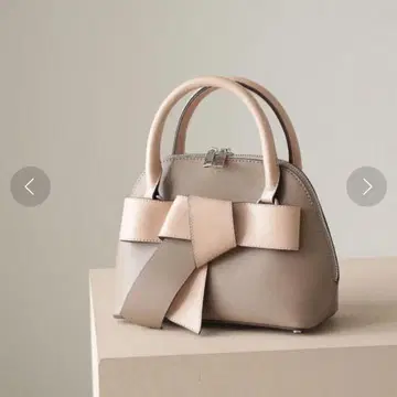 보우리본 미니 보스턴