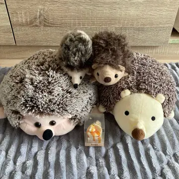 고슴도치 굿즈 5세트