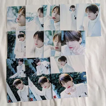 [ 15장 세트 ] TETTA 씨