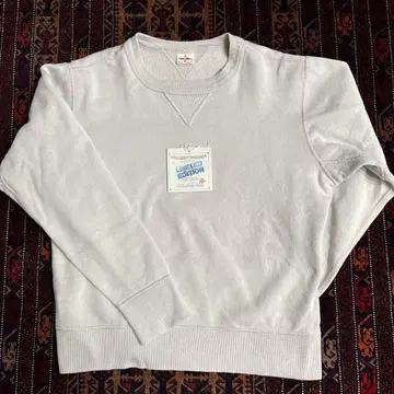 True Moon 맨투맨 92022-71 40/42