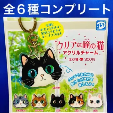 맑은 눈의 고양이 아크릴 참 전 6종 컴프 가챠 오드아이 하치와레