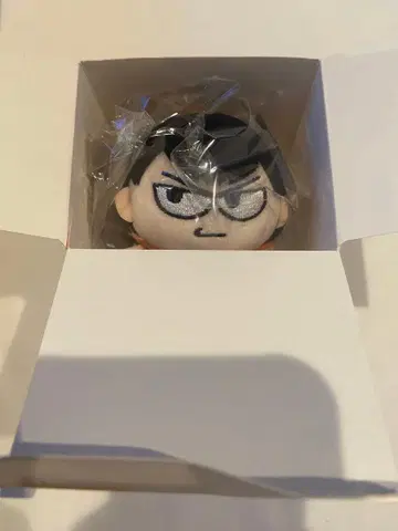 하이큐 지로리 타와라코 카게야마 토비오