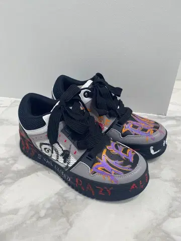 이누이 신이치로 씨 오리지널 페인트 신발