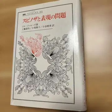 들뢰즈, 스피노자와 표현의 문제