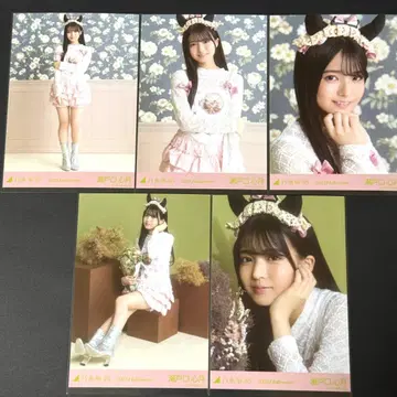 노기자카46 세토구치 신게츠 개인 브로마이드 5장 세트/할로윈 2025