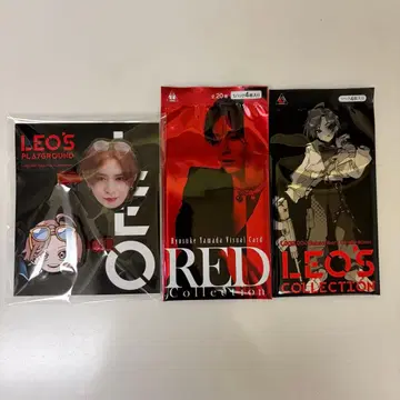 야마다 료스케 LEO'S PLAYGROUND RED 카드