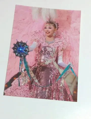 다카라즈카 아오노 유키 2L 사진