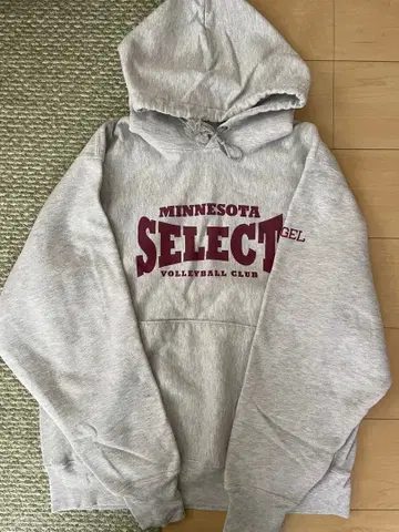 Champion 프리미엄 리버스 위브 구제 의류 후드티 그레이