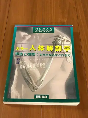 컬러 인체 해부학