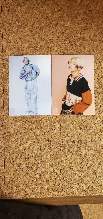 BUDDiiS #036 브로마이드 FUMIYA