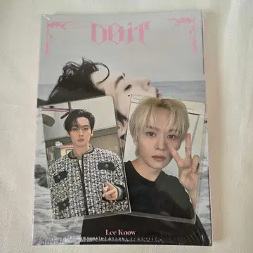 스키즈 'DO IT' ACCORDION VER. 리노