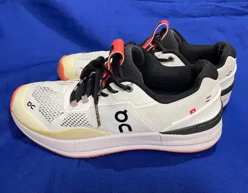 On THE ROGER Pro 테니스화 26.5 (옴니, 클레이)